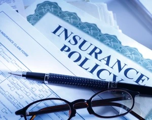 No Claims Discount Humour